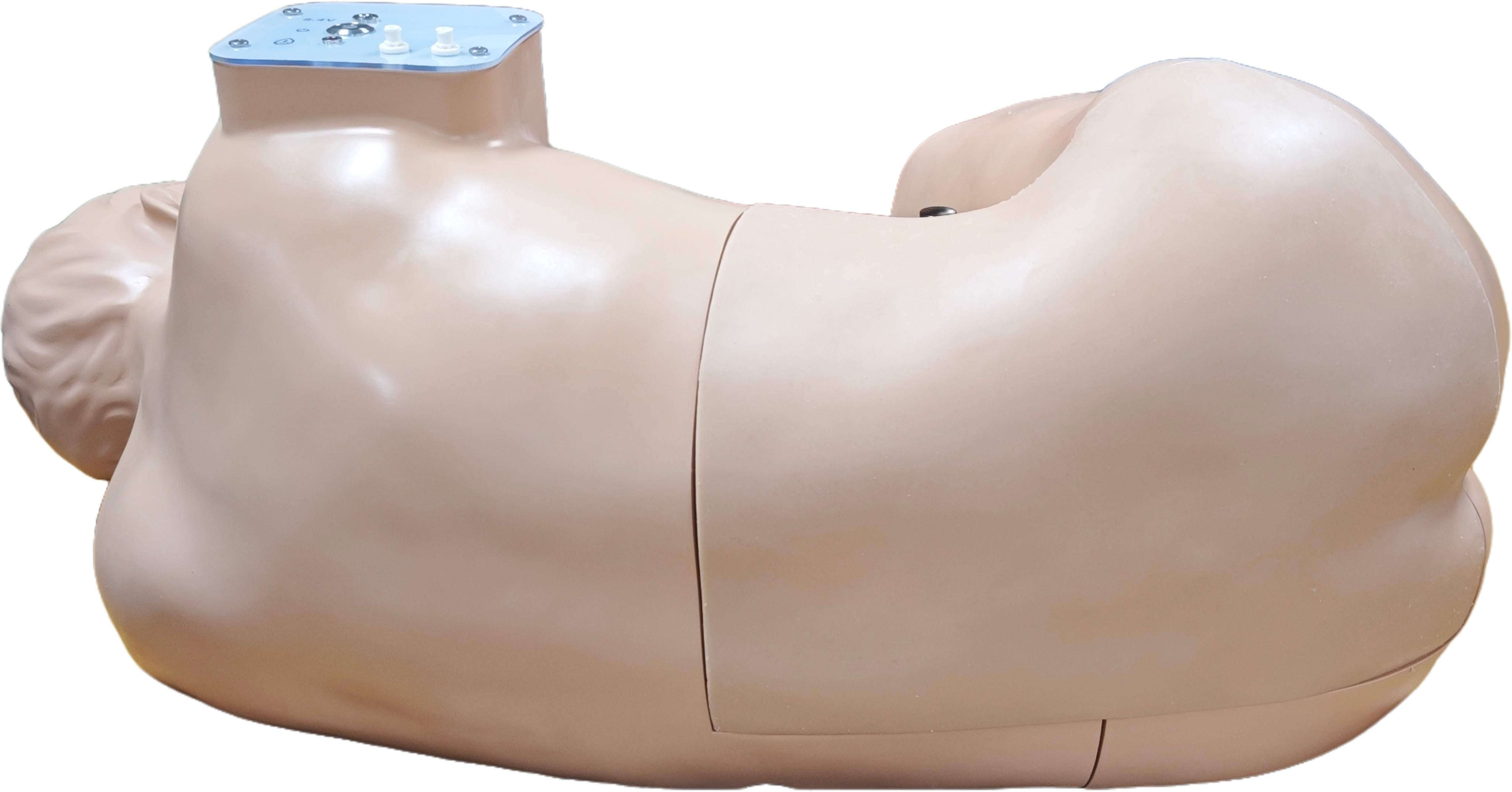 Adult Lumbar Puncture Simulator